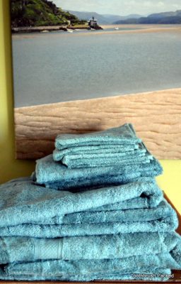 Bamboo Towels Review and Giveaway